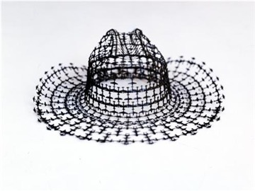 Untitled (stetson)