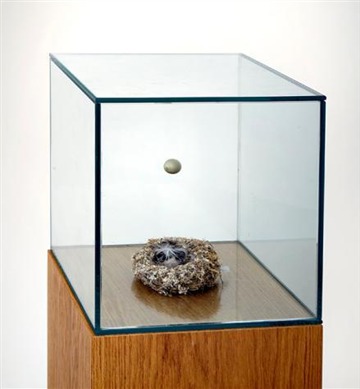 Untitled (egg and nest)