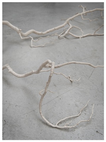 shapeshifter detail 2