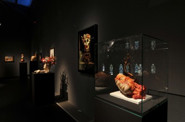 Installation3